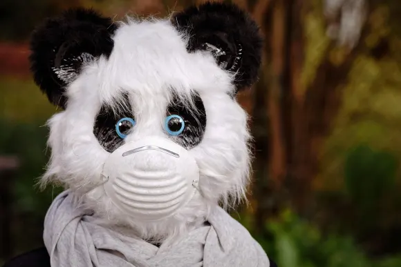 SpinShake Kaszinó Támogatás